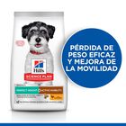Hill's Science Plan Perfect Weight & Active Mobility Small & Mini Pollo pienso para perros, , large image number null